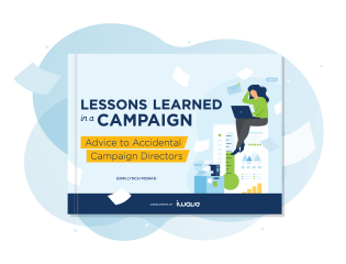 Lessons Learned in a Campaign eBook