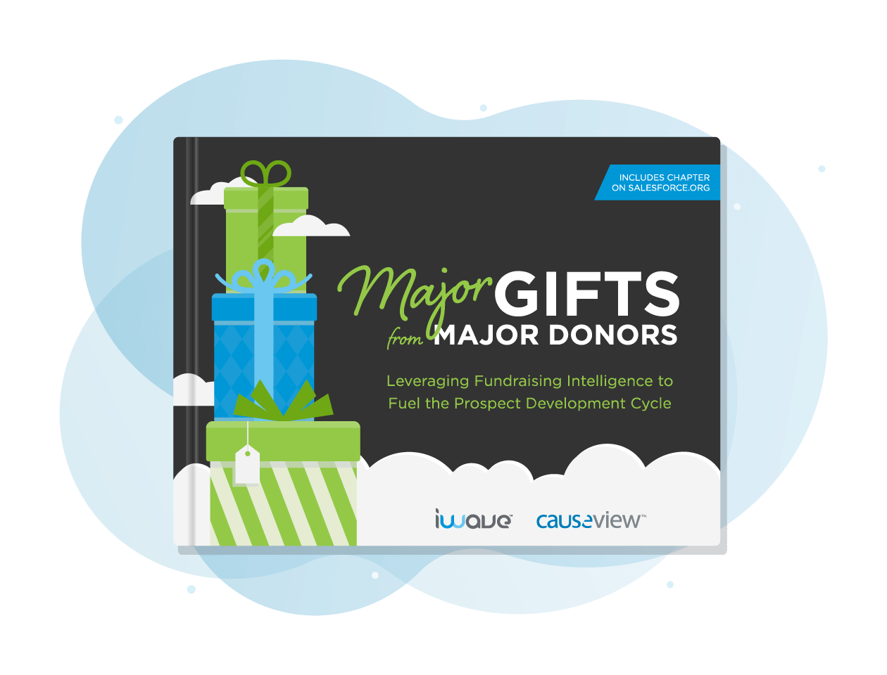 Major Gifts from Major Donors